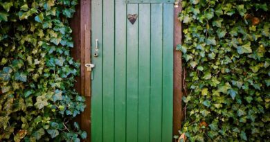 door, toilet door, peace and quiet, old door, wood, disintegration, haunting, old, ivy, toilet, door, door, door, door, door, toilet