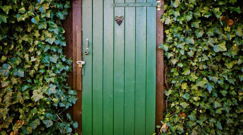 door, toilet door, peace and quiet, old door, wood, disintegration, haunting, old, ivy, toilet, door, door, door, door, door, toilet