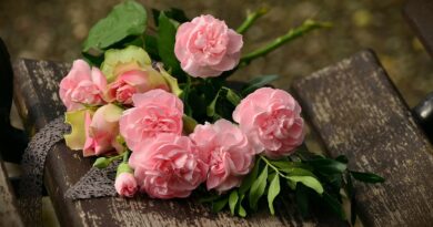 roses, pink roses, flower wallpaper