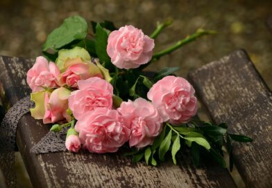 Okouzlete své blízké s luxusním květinovým boxem roses, pink roses, flower wallpaper