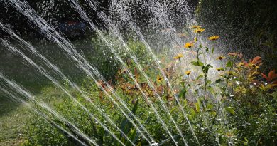 garden, irrigation, water