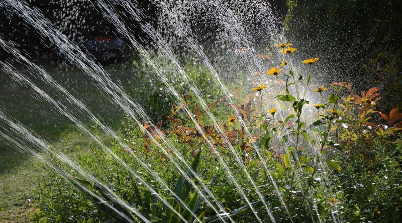 garden, irrigation, water