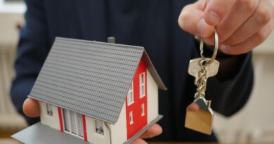 house keys, key, security, door key, shut down, castle, shut off, property, to open, security key, ssl, house keys, house keys, house keys, house keys, property, property, property, property, property