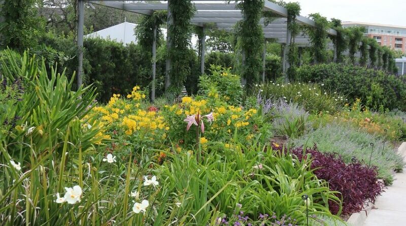 garden, park, nature, flowers, flora, beautiful flowers, bloom, white, flower background, red, purple, pergola, flower wallpaper, sidewalk, green, blooming
