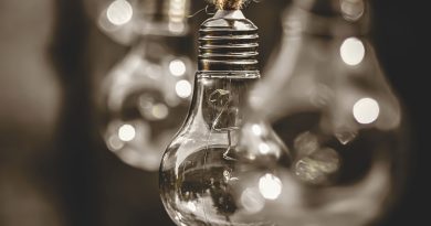 lightbulb, energy, nature