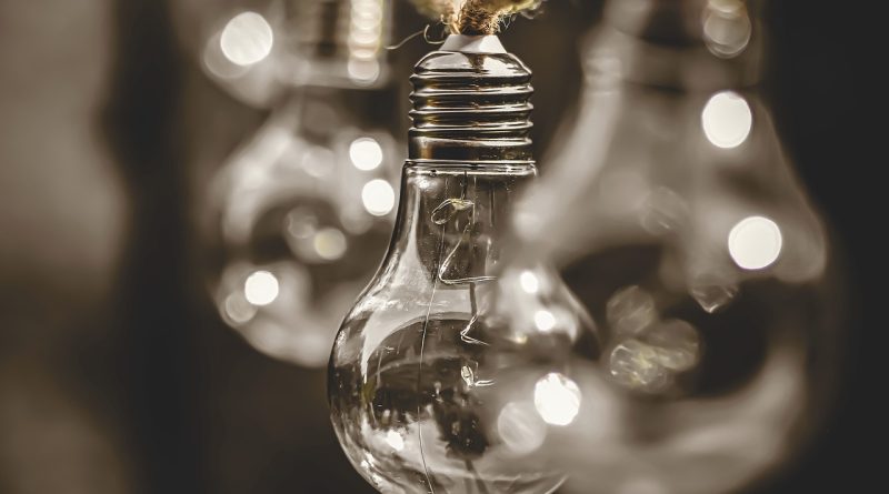 lightbulb, energy, nature