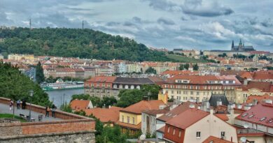 buildings, roofs, architecture, city, lifestyle, vegetation, st vitus cathedral, charles bridge, historically, capital, praha