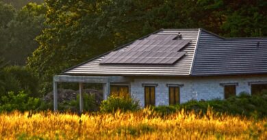house, grass, sunset