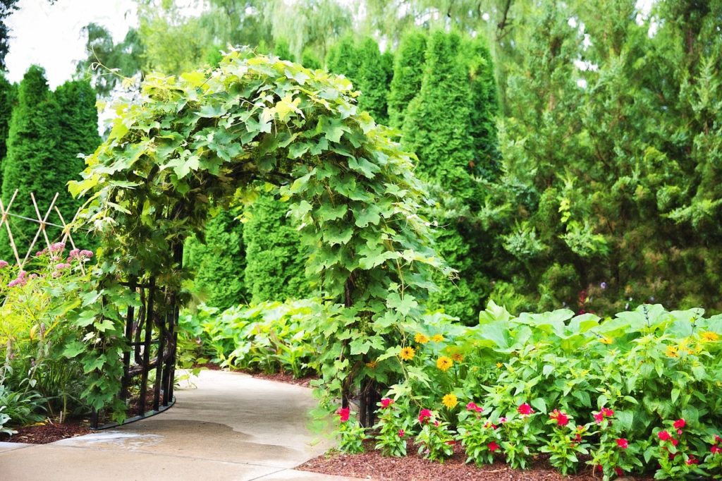 Arbor Trellis Ivy Entrance Garden - JillWellington / Pixabay