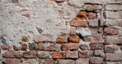 Background Brick Wall Texture  - FilipFilipovic / Pixabay