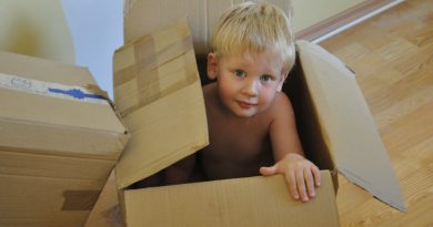 Child Boy Game Package Box Kid  - vikvarga / Pixabay