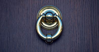 Door Doorknocker Input Metal Old  - SKY-TOM / Pixabay