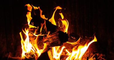 Fire Fireplace Coals Flame Burn  - Malika_photo / Pixabay
