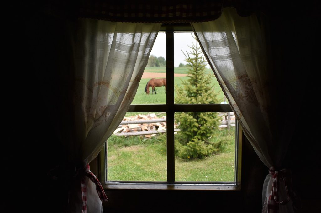 Horse Equine Equestrian Window - Fotografbee / Pixabay