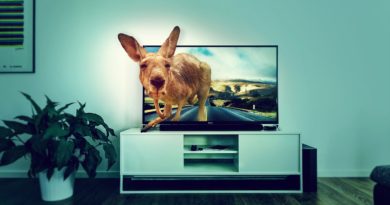 Interior Tv Kangaroo Road Room  - DarkmoonArt_de / Pixabay