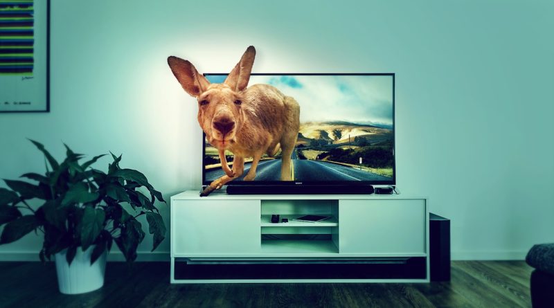 Interior Tv Kangaroo Road Room - DarkmoonArt_de / Pixabay