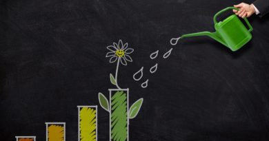 Investment Growth Watering Can  - Tumisu / Pixabay