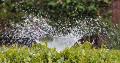 Irrigation Inject Water Sprinkler  - AxxLC / Pixabay