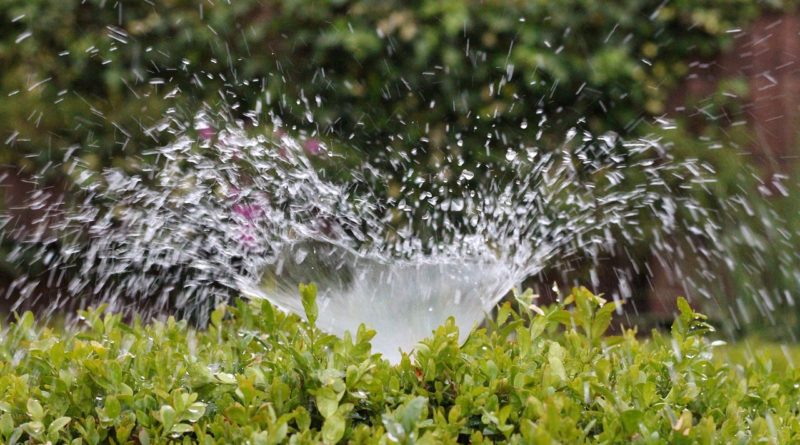 Irrigation Inject Water Sprinkler - AxxLC / Pixabay