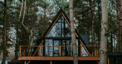 a cabin in the woods surrounded by trees
