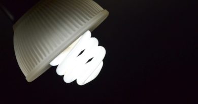 Lamp Night Light Bulb Flashlight  - cristianbarrios1974 / Pixabay