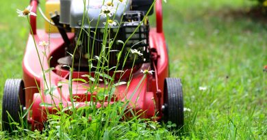 Lawn Mower Mow Gardening Lawn  - congerdesign / Pixabay