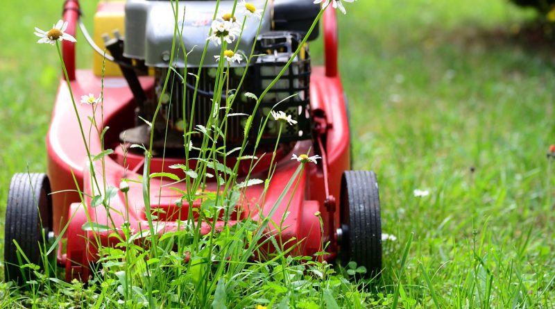Lawn Mower Mow Gardening Lawn - congerdesign / Pixabay