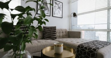 Living Room Couch Sofa Upholstery  - maxfranke / Pixabay