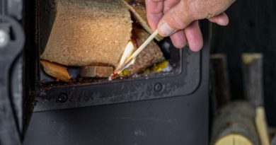 Oven Fire Fireplace Hot Flame  - fotoblend / Pixabay
