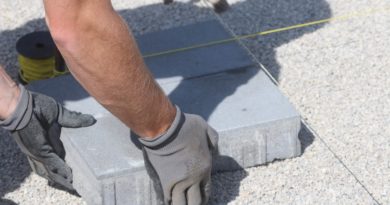 Pavement Paving Stones Path Floor  - planet_fox / Pixabay