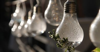 Pear Garden Garland Lamp  - HS120 / Pixabay
