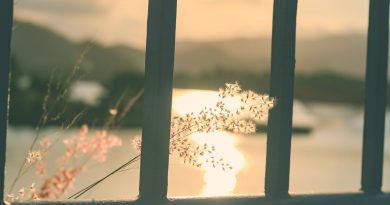 River Sunset Window Flowers Bridge  - hoànglong1799 / Pixabay