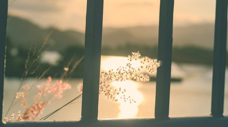 River Sunset Window Flowers Bridge  - hoànglong1799 / Pixabay