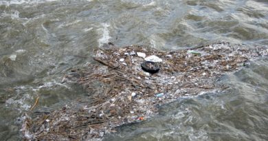 River Water Garbage Dirt Waste