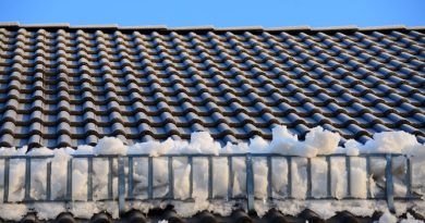 Roof Snow Snow Guard Snow Catcher  - congerdesign / Pixabay