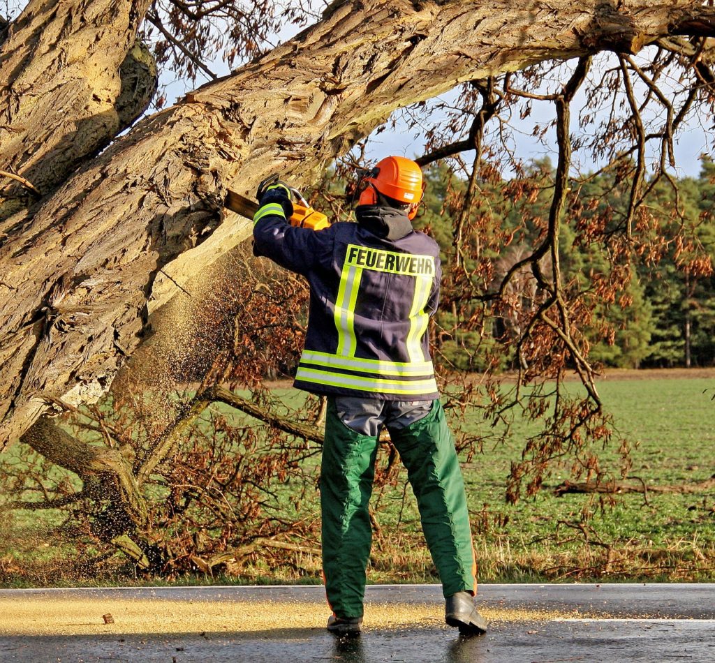 Saw Fire Chainsaw Trees Morsch - maja7777 / Pixabay