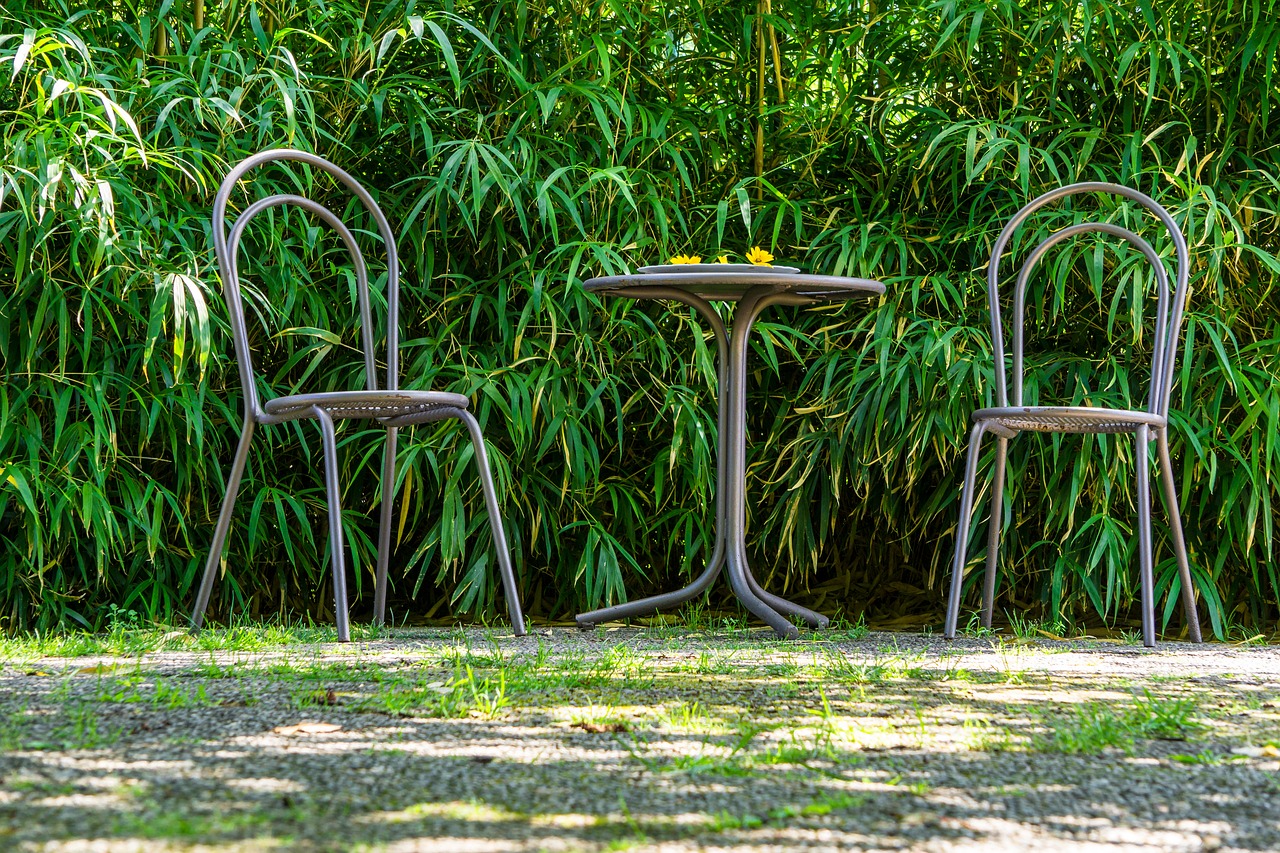 Seating Arrangement Chair Table