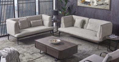 Sofa Living Room Interior Design  - we-o_rd35qlqp7yqyp0thf / Pixabay
