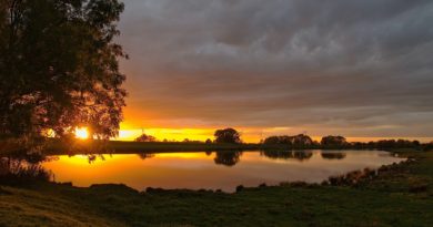 Sunset Lake Grass Clouds Sky Sun  - HelgaKa / Pixabay