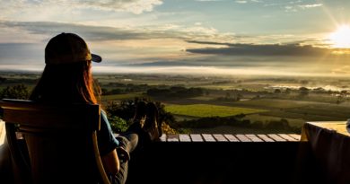 Sunset Woman Field Terrace Sun  - JosephMarin / Pixabay