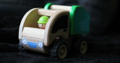 Toy Children Auto Toy Car Dustman  - PetraSolajova / Pixabay