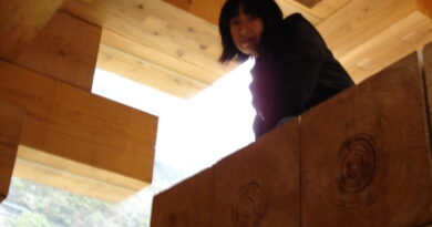 Final Wooden House