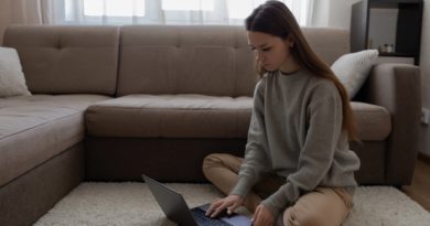 Work From Home Woman Laptop  - Katya_Ershova / Pixabay